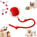 🐾 Juguete Interactivo Inteligente para Perros y Gatos con Led